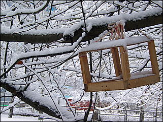 5 ноября 2009 г., Барнаул   В Барнаул пришла "зима"