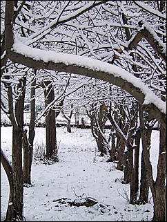 5 ноября 2009 г., Барнаул   В Барнаул пришла "зима"