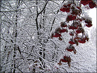 5 ноября 2009 г., Барнаул   В Барнаул пришла "зима"