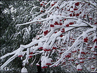 5 ноября 2009 г., Барнаул   В Барнаул пришла "зима"