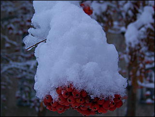 5 ноября 2009 г., Барнаул   В Барнаул пришла "зима"