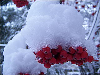 5 ноября 2009 г., Барнаул   В Барнаул пришла "зима"