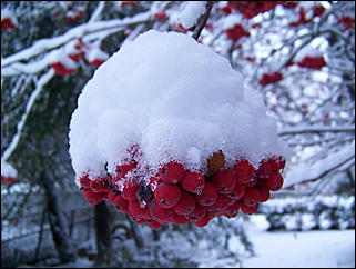 5 ноября 2009 г., Барнаул   В Барнаул пришла "зима"