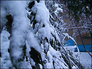 5 ноября 2009 г., Барнаул   В Барнаул пришла "зима"