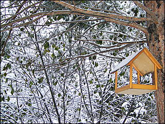 5 ноября 2009 г., Барнаул   В Барнаул пришла "зима"