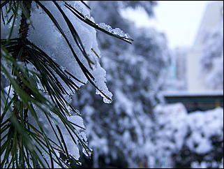 5 ноября 2009 г., Барнаул   В Барнаул пришла "зима"