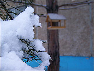 5 ноября 2009 г., Барнаул   В Барнаул пришла "зима"