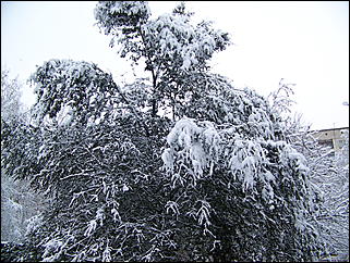 5 ноября 2009 г., Барнаул   В Барнаул пришла "зима"