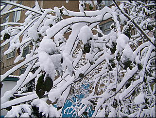 5 ноября 2009 г., Барнаул   В Барнаул пришла "зима"