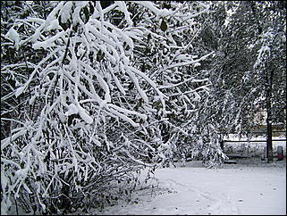 5 ноября 2009 г., Барнаул   В Барнаул пришла "зима"