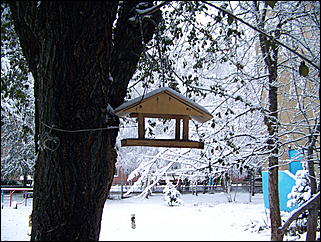 5 ноября 2009 г., Барнаул   В Барнаул пришла "зима"