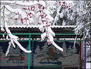 5 ноября 2009 г., Барнаул   В Барнаул пришла "зима"