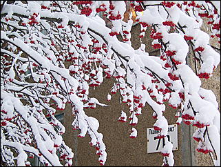 5 ноября 2009 г., Барнаул   В Барнаул пришла "зима"