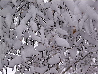 5 ноября 2009 г., Барнаул   В Барнаул пришла "зима"