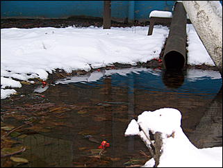 5 ноября 2009 г., Барнаул   В Барнаул пришла "зима"