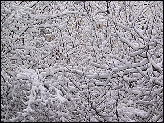 5 ноября 2009 г., Барнаул   В Барнаул пришла "зима"