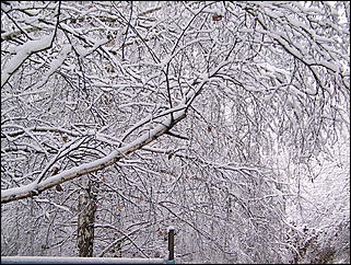 5 ноября 2009 г., Барнаул   В Барнаул пришла "зима"