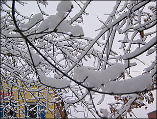 5 ноября 2009 г., Барнаул   В Барнаул пришла "зима"