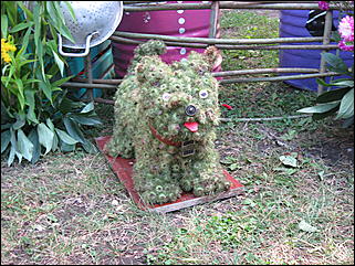 22 августа 2009 г., Барнаул   Праздник для первоклассников, выставка ретро-автомобилей и цветов в День рождения Барнаула