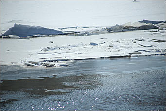 2 апреля 2018 г., Барнаул. Екатерина Смолихина   Несокрушимая глыба: река Обь в преддверии ледохода