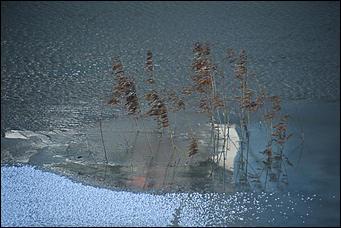2 апреля 2018 г., Барнаул. Екатерина Смолихина   Несокрушимая глыба: река Обь в преддверии ледохода