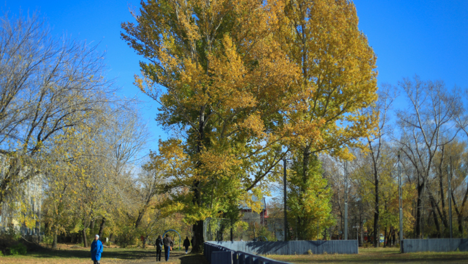 9 октября 2018 г., Барнаул. Екатерина Смолихина   Окраина с осенним шармом: фотопрогулка по барнаульскому району ВРЗ