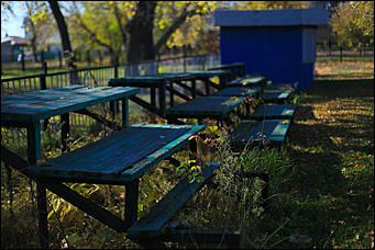 9 октября 2018 г., Барнаул. Екатерина Смолихина   Окраина с осенним шармом: фотопрогулка по барнаульскому району ВРЗ