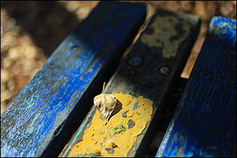 9 октября 2018 г., Барнаул. Екатерина Смолихина   Окраина с осенним шармом: фотопрогулка по барнаульскому району ВРЗ