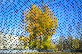 9 октября 2018 г., Барнаул. Екатерина Смолихина   Окраина с осенним шармом: фотопрогулка по барнаульскому району ВРЗ