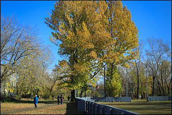 9 октября 2018 г., Барнаул. Екатерина Смолихина   Окраина с осенним шармом: фотопрогулка по барнаульскому району ВРЗ