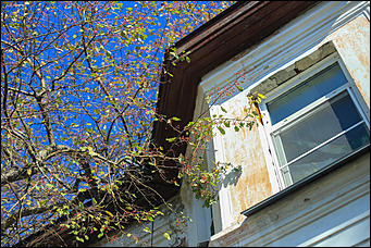 9 октября 2018 г., Барнаул. Екатерина Смолихина   Окраина с осенним шармом: фотопрогулка по барнаульскому району ВРЗ