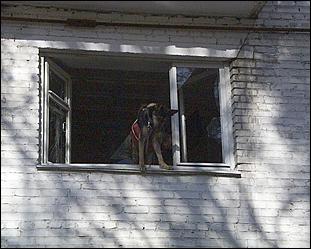 10 октября 2000г., Барнаул   10 октября 2000г. в городе Барнауле около половины восьмого вечера в доме N 9 по улице Новороссийской произошел взрыв.