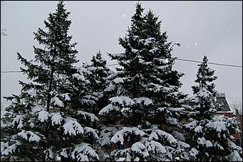 17 апреля 2008 г., Барнаул   "А снег идет..."