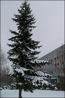 17 апреля 2008 г., Барнаул   "А снег идет..."