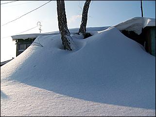 18 января 2009 г., Барнаул   Барнаул завалило снегом