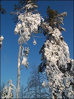 18 января 2009 г., Барнаул   Барнаул завалило снегом