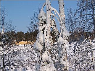 18 января 2009 г., Барнаул   Барнаул завалило снегом