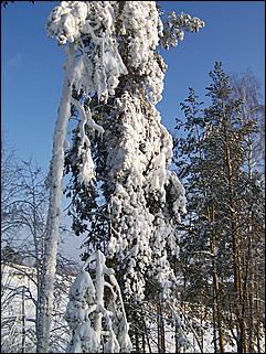 18 января 2009 г., Барнаул   Барнаул завалило снегом