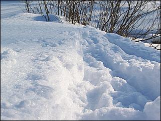 18 января 2009 г., Барнаул   Барнаул завалило снегом