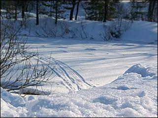 18 января 2009 г., Барнаул   Барнаул завалило снегом