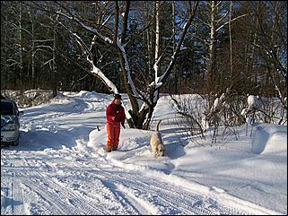 18 января 2009 г., Барнаул   Барнаул завалило снегом
