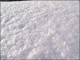 18 января 2009 г., Барнаул   Барнаул завалило снегом