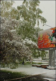 11 май 2013 г., Барнаул   Барнаул накрыл майский снег