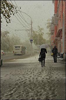 11 май 2013 г., Барнаул   Барнаул накрыл майский снег