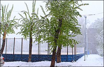 11 май 2013 г., Барнаул   Барнаул накрыл майский снег