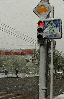 11 май 2013 г., Барнаул   Барнаул накрыл майский снег