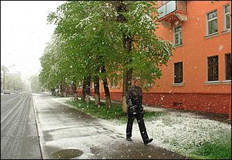 11 май 2013 г., Барнаул   Барнаул накрыл майский снег