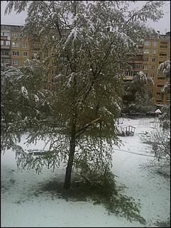 11 май 2013 г., Барнаул   Барнаул накрыл майский снег