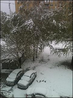 11 май 2013 г., Барнаул   Барнаул накрыл майский снег