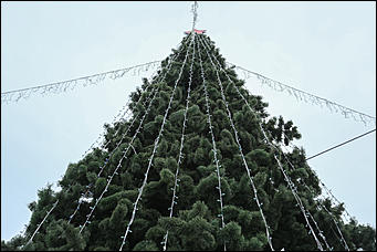 26 декабря 2017 г., Барнаул. Екатерина Смолихина   Будет и на нашей улице праздник: фотопрогулка по районным ёлкам Барнаула